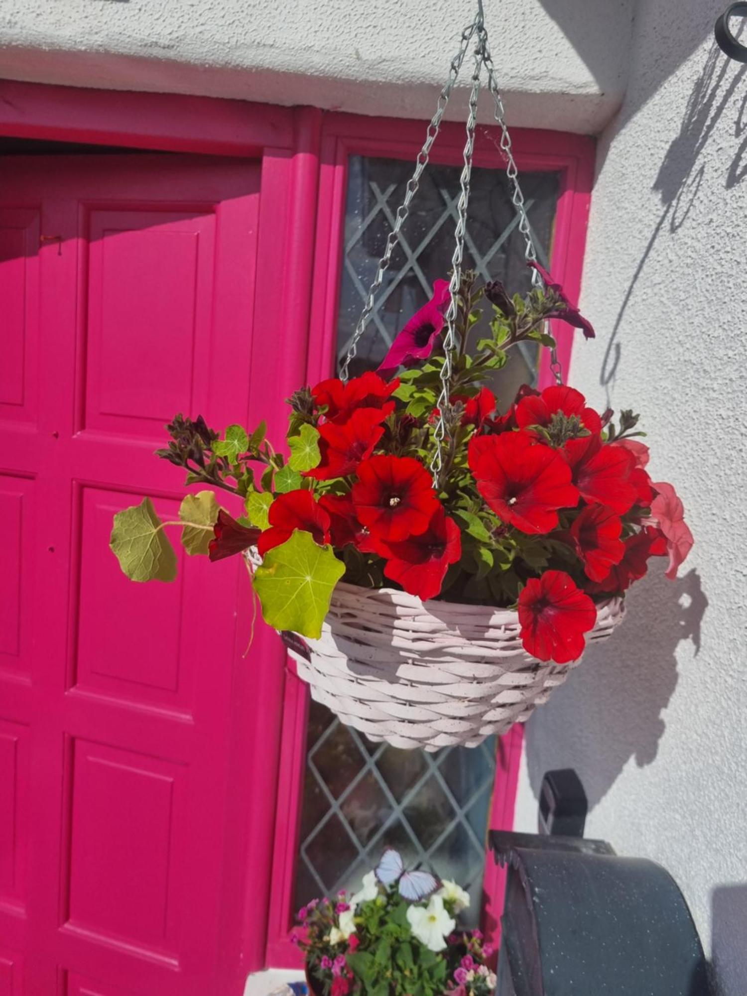 The Pink Door Apartment Killala Exterior photo